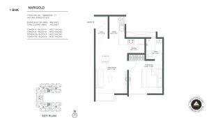 Embassy Verde Floor Plan2